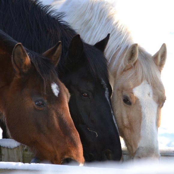 Meet your Posher, Scott - Picture 1 of 1